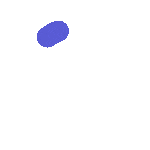loader image